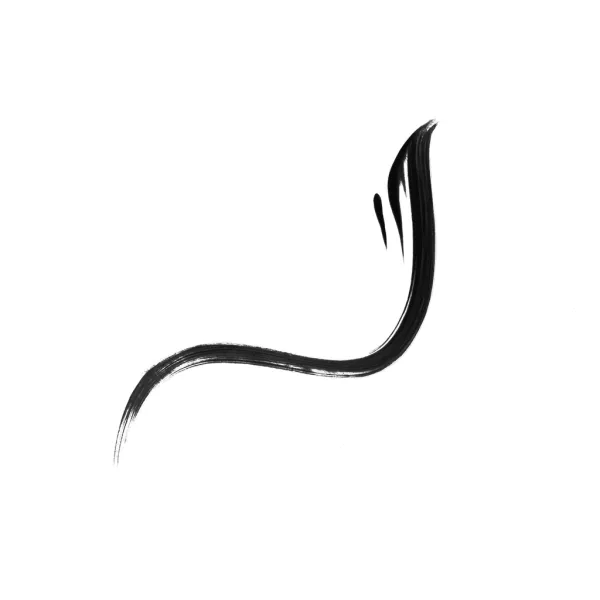 Long Last Liquid Eye Liner