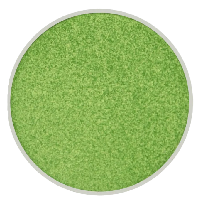 Shimmer Mini Eye Shadow - 260