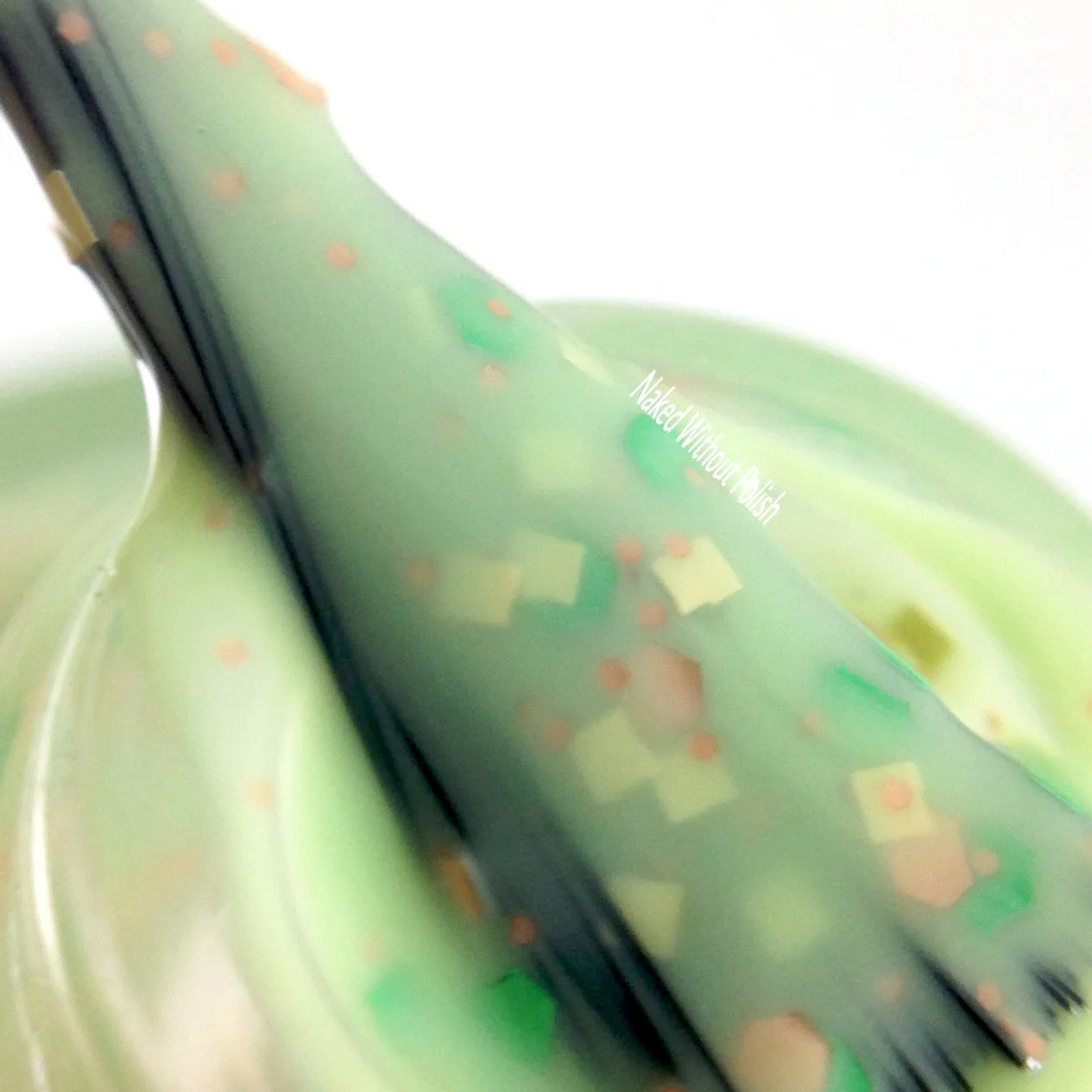 Vesna's Alligators // Equinox Eggs