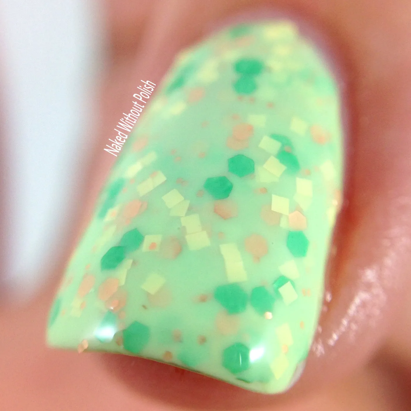 Vesna's Alligators // Equinox Eggs
